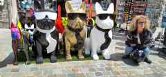 Bulldog-Galerie