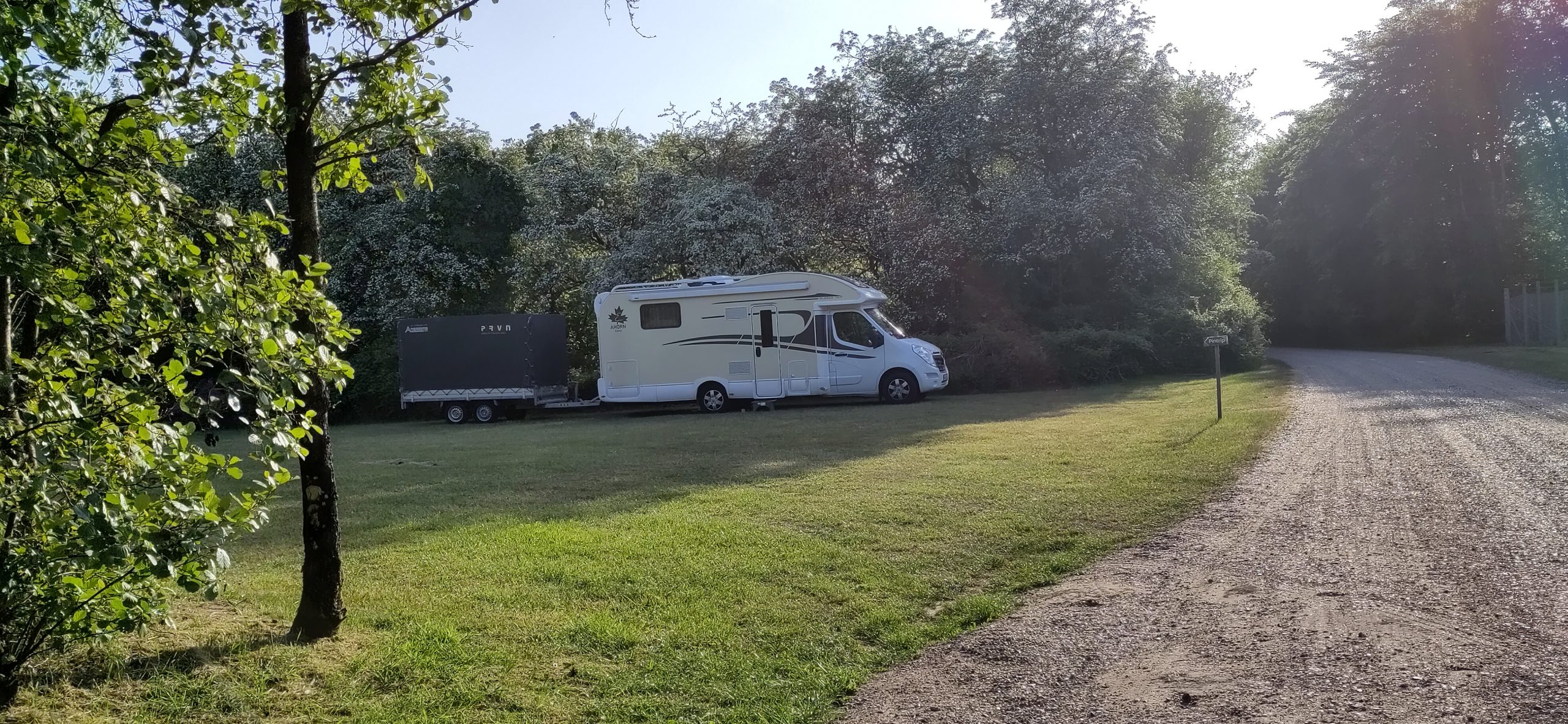 Schorsch auf dem Stellplatz Arrild-Ferieby in Dänemark