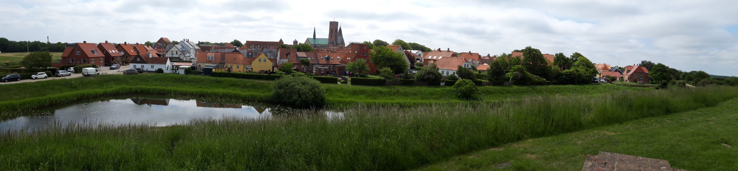 Ribe mit Dom vom Riberhus aus