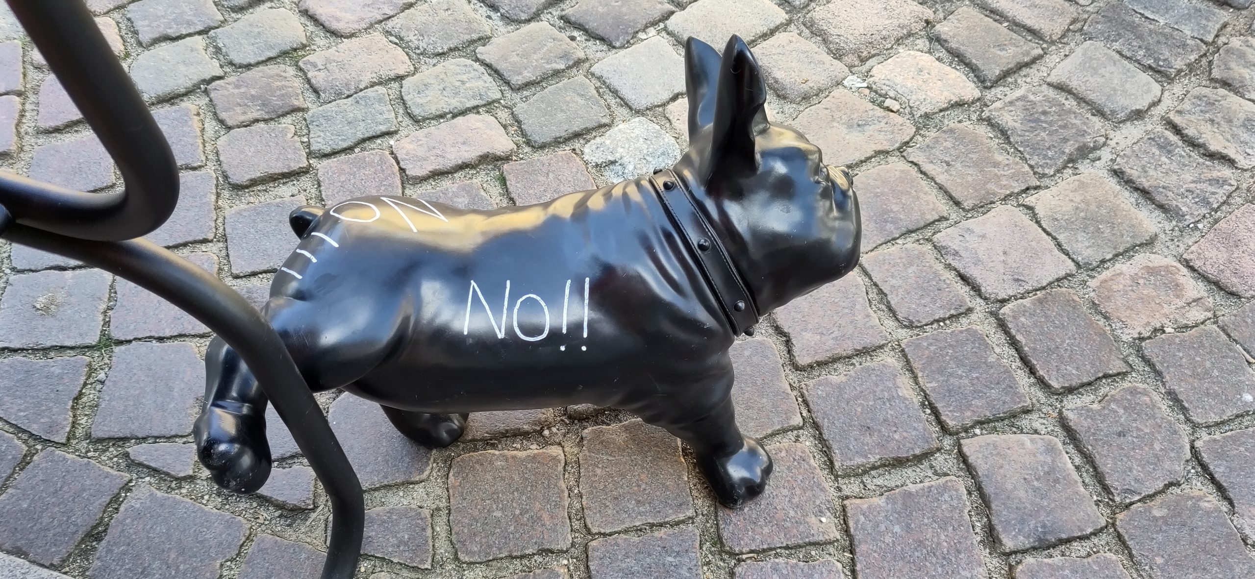 Hier darf Hund nicht alles!