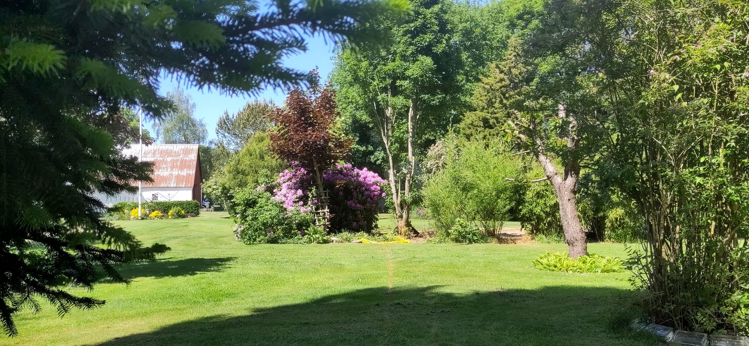 Der Garten von Ulla und Orla, unseren Gastgebern