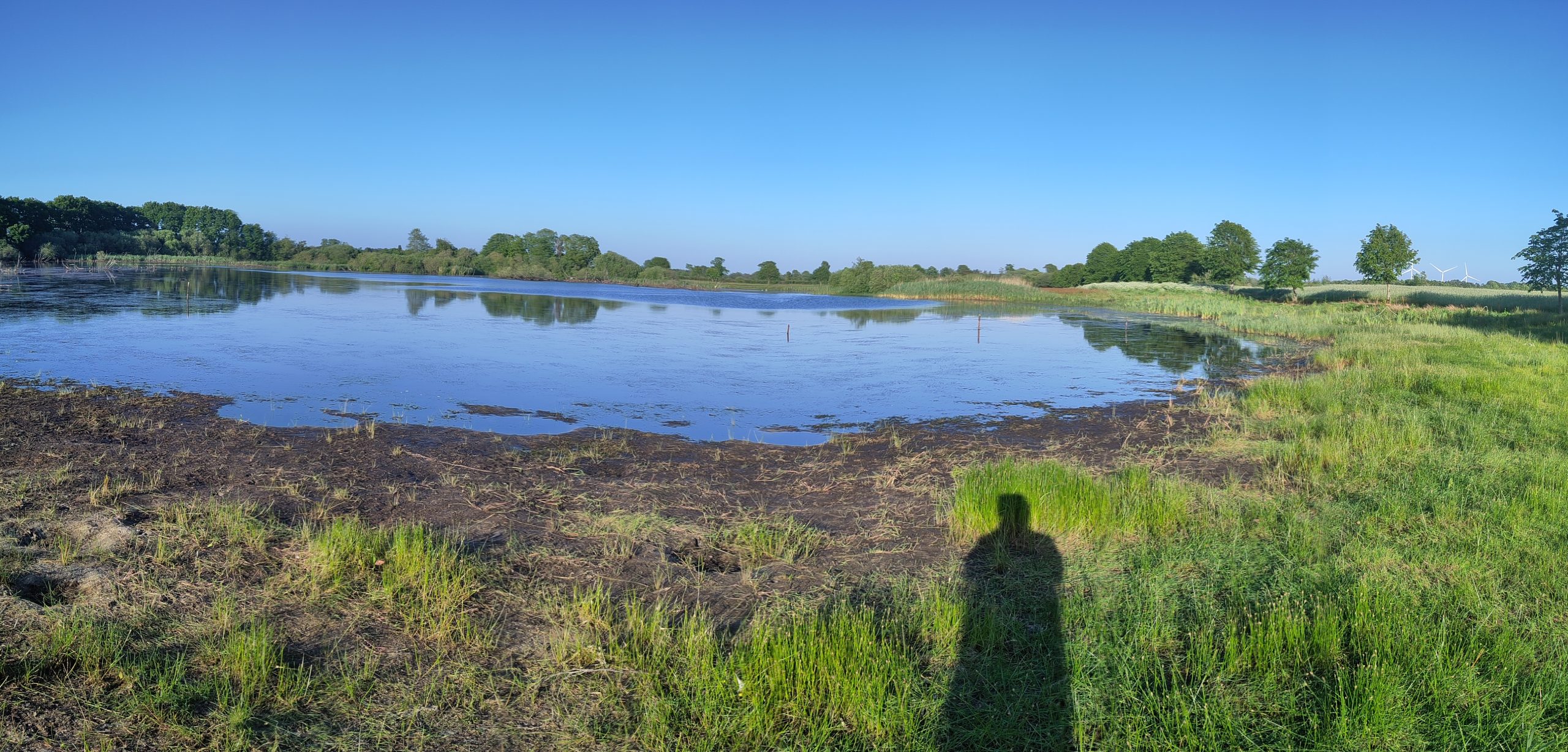 Der See mit Dolli